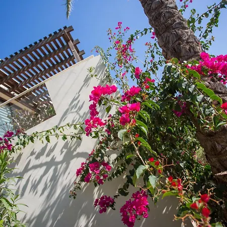 Apartman Penthouse Duplex Overlooking The Mediterranean *